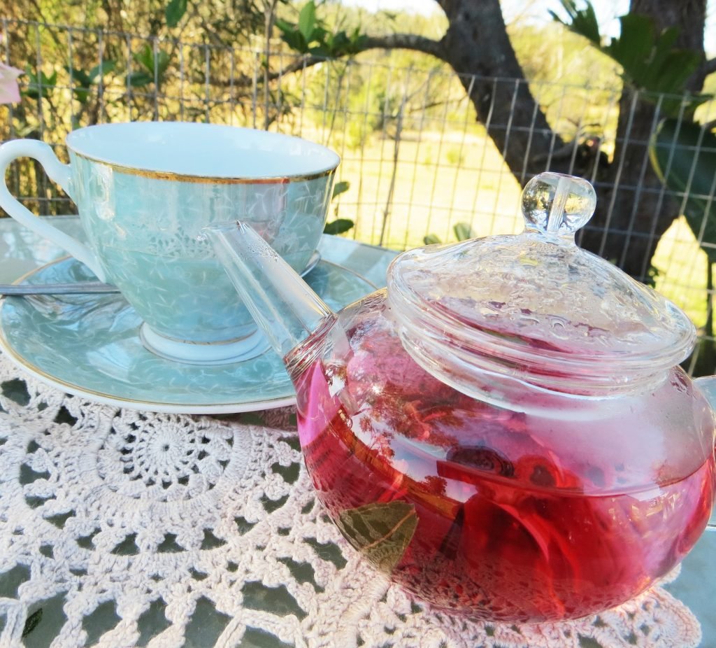 australian natives herbal tea infusing in glass teapot