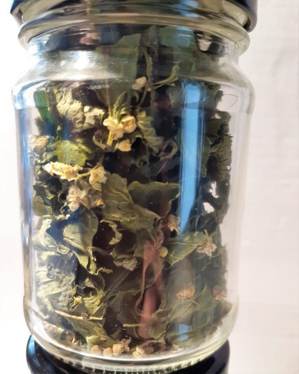 Mint, Lemon Balm, and Elderflower herbal Tea infusion