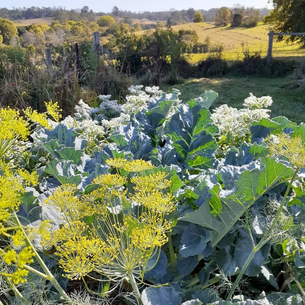 organically grown boutique ingredients