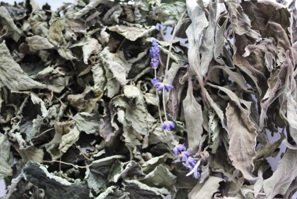 Tulsi, Lemon Balm, Lavender