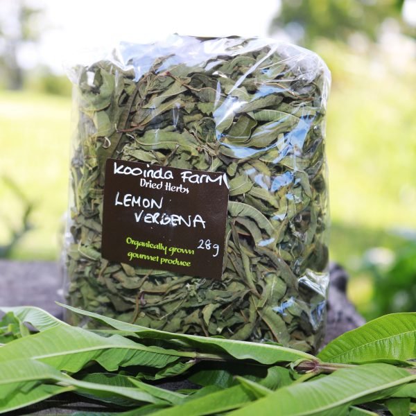 lemon verbena 25g pack with fresh leaves